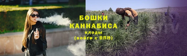 дурь Бородино