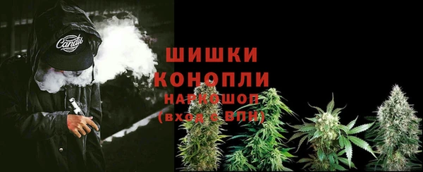 дурь Бородино