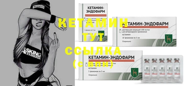 дурь Бородино
