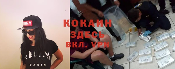 дурь Бородино