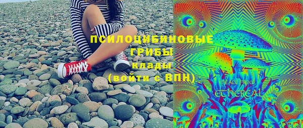 дурь Бородино