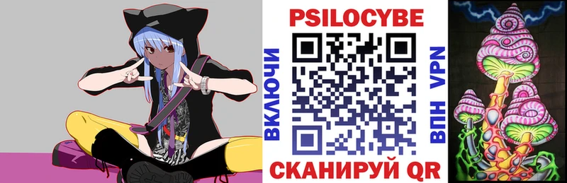 где можно купить   Кизел  Галлюциногенные грибы прущие грибы 